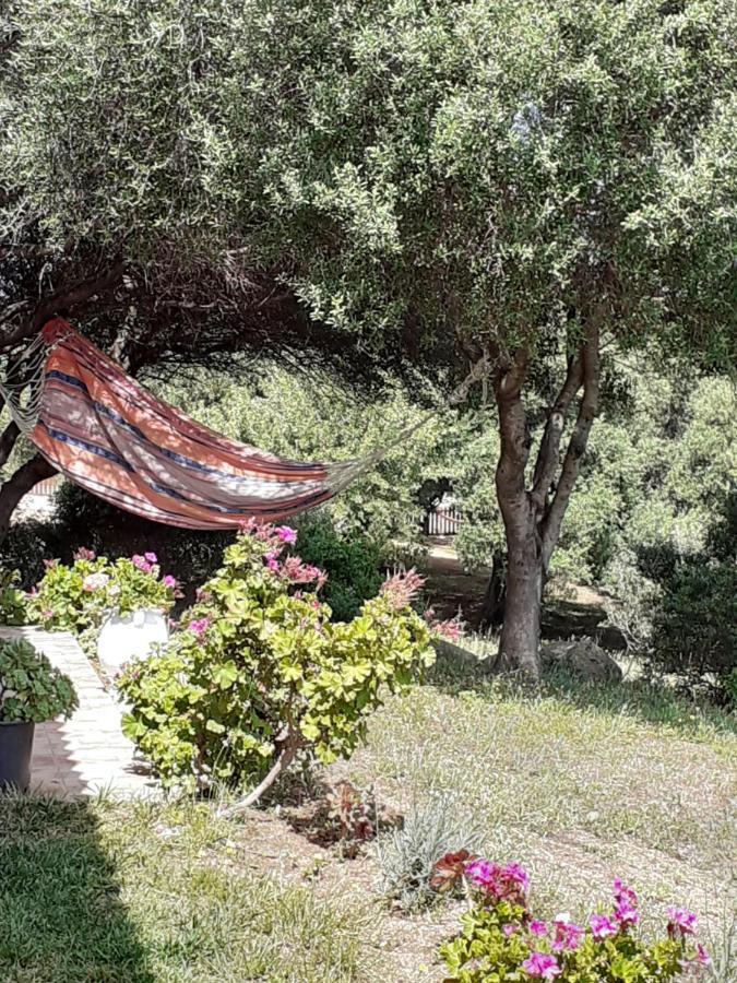 Agriturismo Gli Olivastri Appartamento Raggio Di Sole , Con Piscina E Vista Mare ,Climatizzatore,Wifi Aglientu Esterno foto