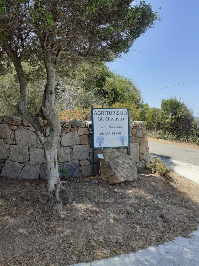 Agriturismo Gli Olivastri Appartamento Raggio Di Sole , Con Piscina E Vista Mare ,Climatizzatore,Wifi Aglientu Esterno foto